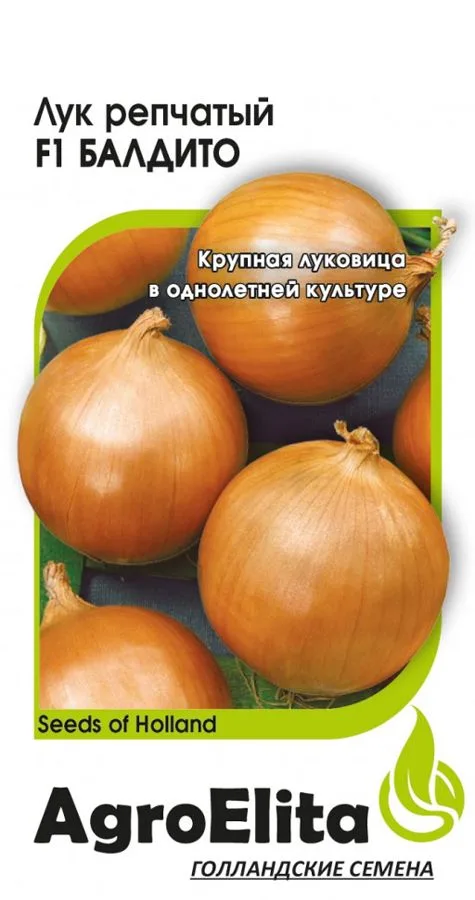 Лук репчатый Балдито F1