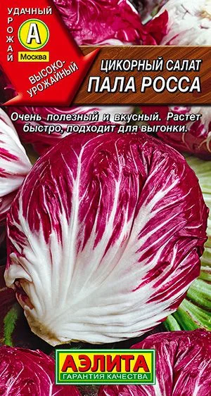 Салат Цикорный салат Пала Росса