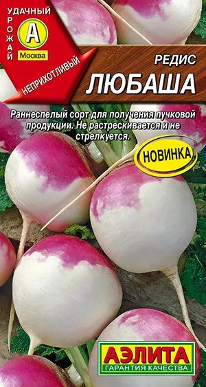 Редис Любаша