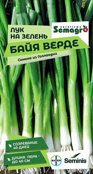Лук на зелень Байя Верде