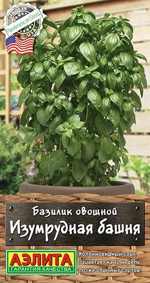 Базилик овощной Изумрудная башня
