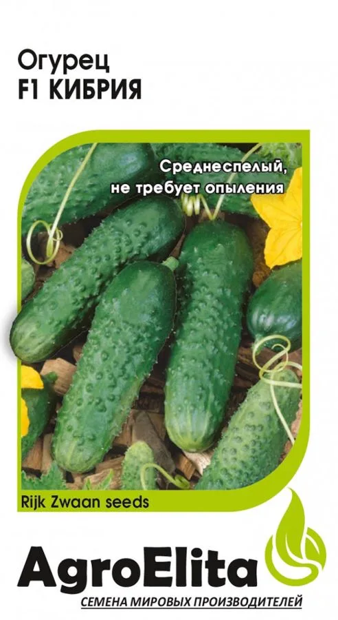 Семена: Огурец Кибрия F1