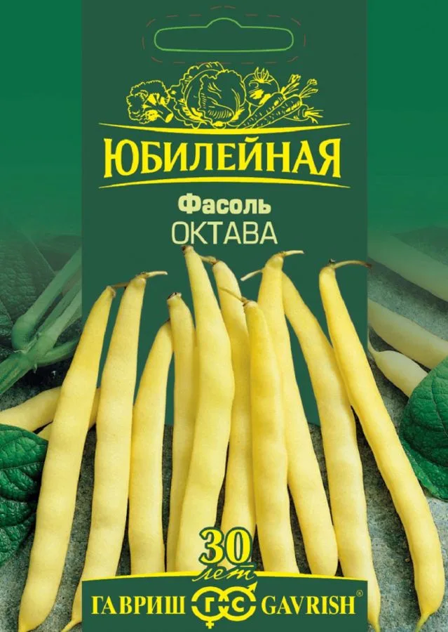 Фасоль спаржевая Октава