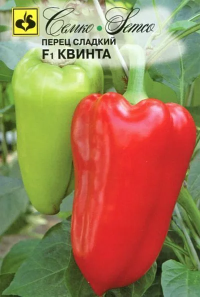 Перец сладкий Квинта F1