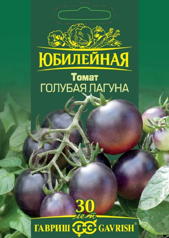 Семена: Томат Голубая лагуна