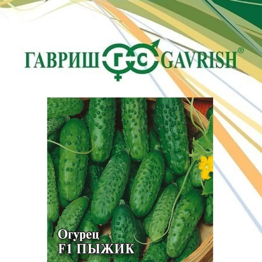 Огурец Пыжик F1