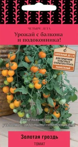 Семена: Томат Золотая гроздь